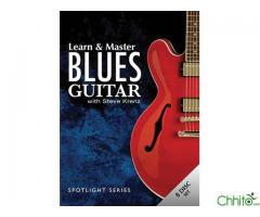 Learn and Master Blues Guitar