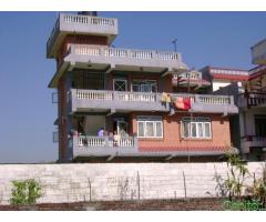 house with 12 ana land situated lalitpur submetropol. 14 is for sale urgently
