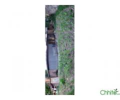 http://chhito.com/real-estate/land-plot-for-sale/13-aana-land-for-sale-in-tinthana-4_4905