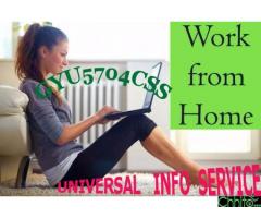 Free online data entry jobs offered by UIS